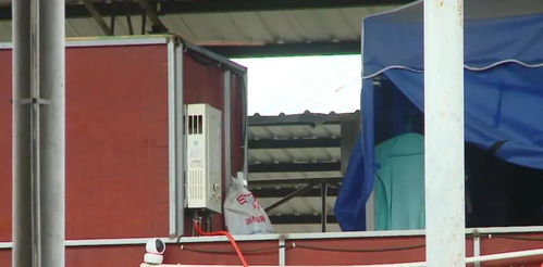 廣西水產批發市場“三合一”隱患凸顯 金屬及金屬礦批發業態混雜加劇安全風險